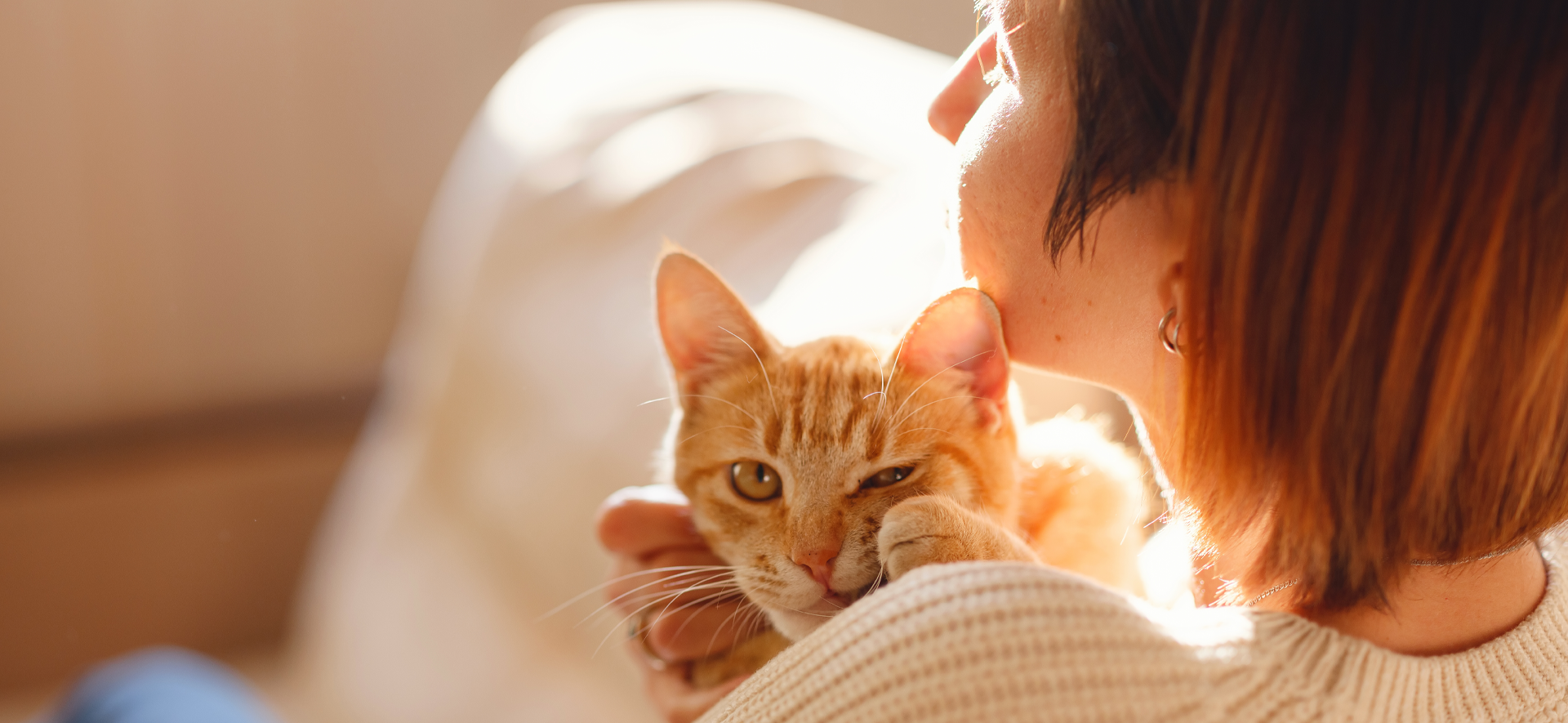 cómo saber si mi gato disfruta los abrazos